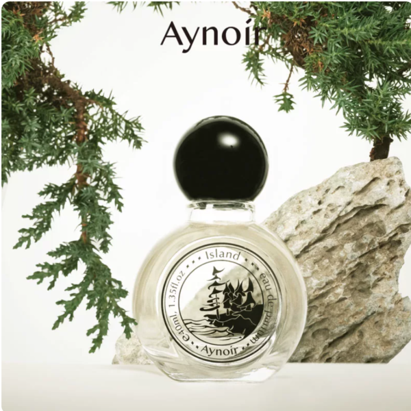 Aynoir雪松香水杜松柏木中性木質香海洋調持久留香