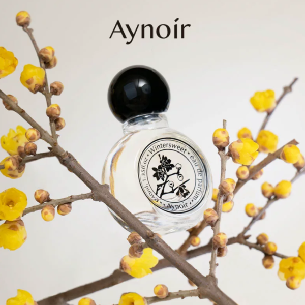Aynoir臘梅香水女士持久自然梅花清新小衆高級感禮物淡香水送小樣